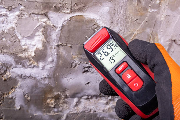 Best Toxic Mold Removal  in Lake Waynoka, OH