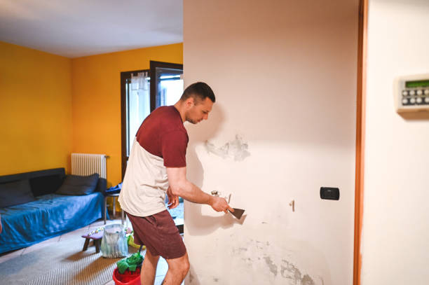 Best Emergency Mold Removal  in Lake Waynoka, OH